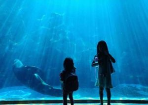台北海洋館